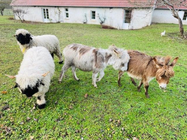 Le Clos Des Chateaux Panzió Chitenay Kültér fotó